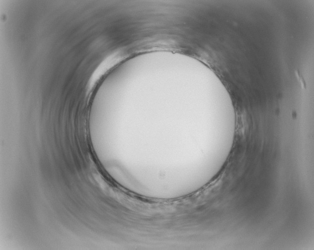 X0000057090004200510071923