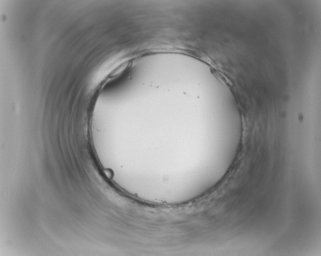 X0000057090005200510071923