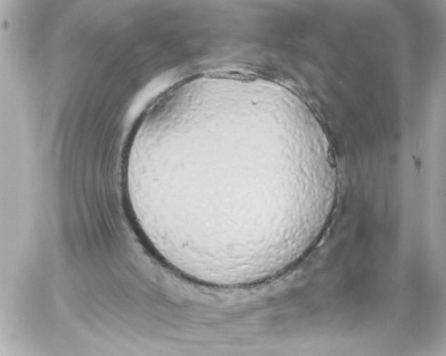 X0000057090006200510071923