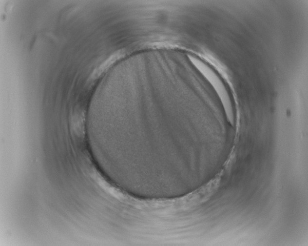 X0000057090009200510071923