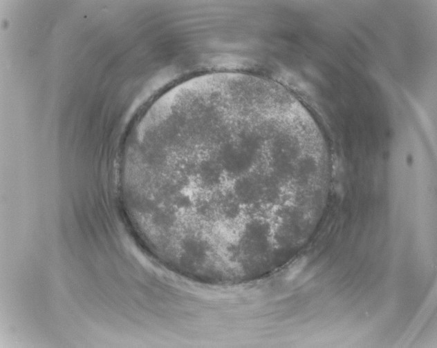 X0000057090012200510071923