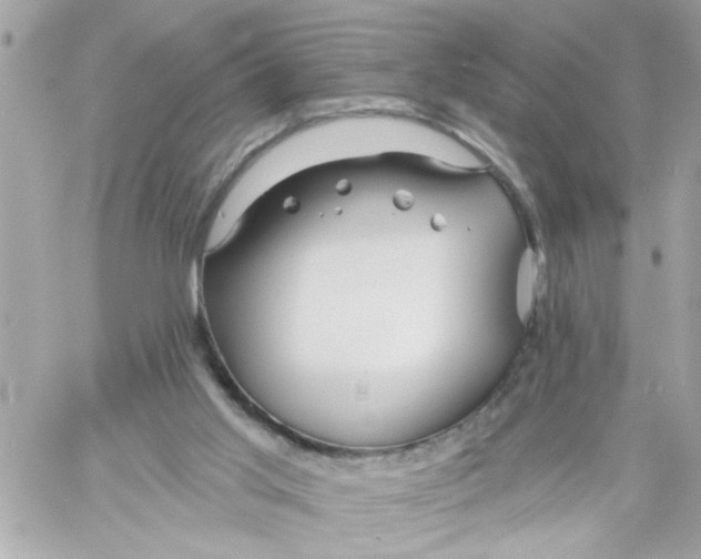 X0000057090013200510071923