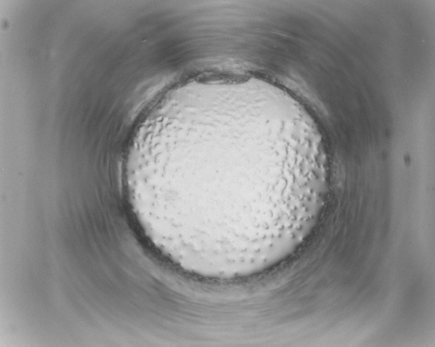 X0000057090014200510071923