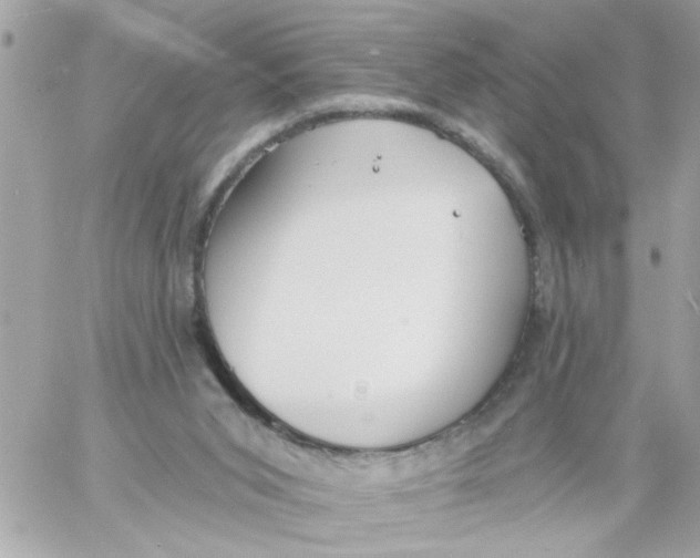 X0000057090015200510071923