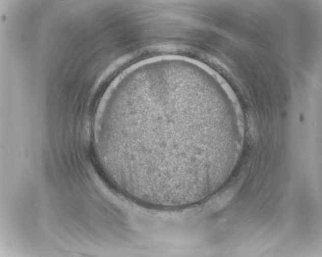 X0000057090016200510071923