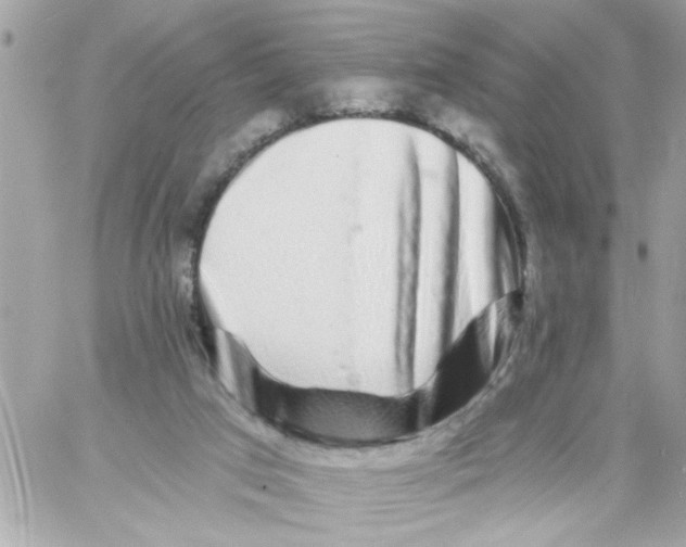 X0000057090017200510071923