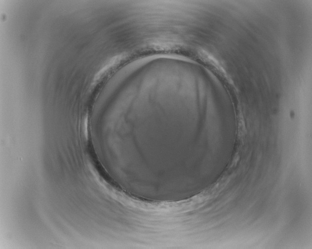 X0000057090019200510071923