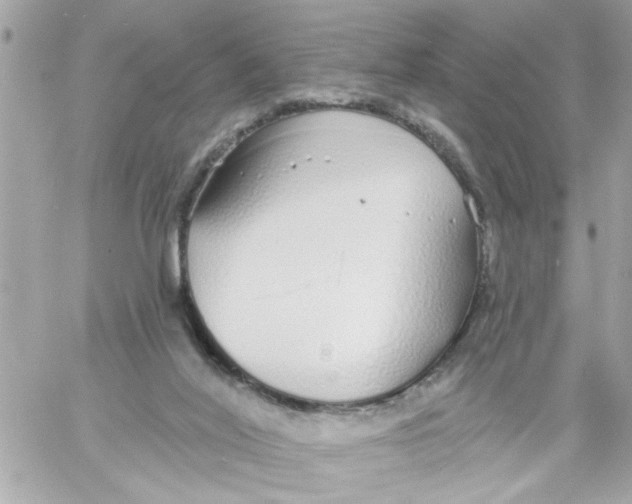 X0000057090020200510071923