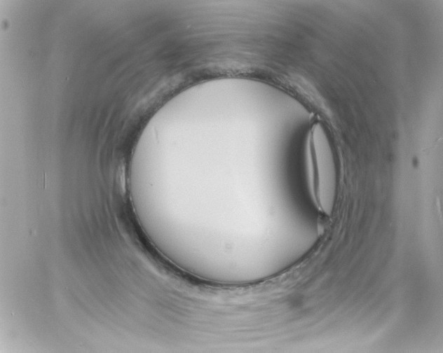 X0000057090021200510071923