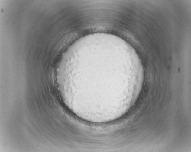 X0000057090022200510071923