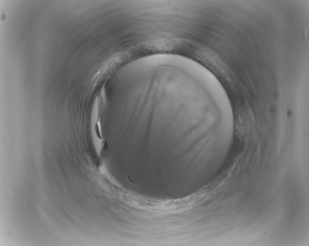 X0000057090023200510071923