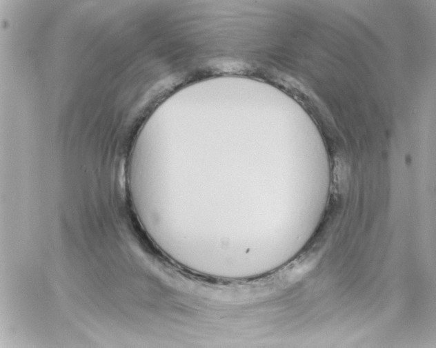 X0000057090024200510071923