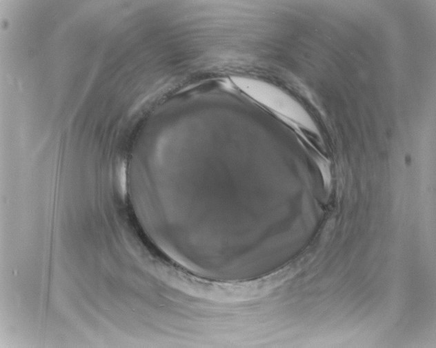 X0000057090027200510071923