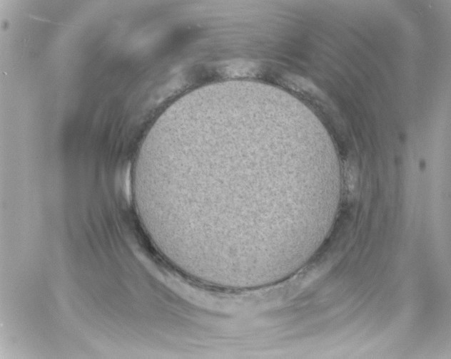 X0000057090028200510071923