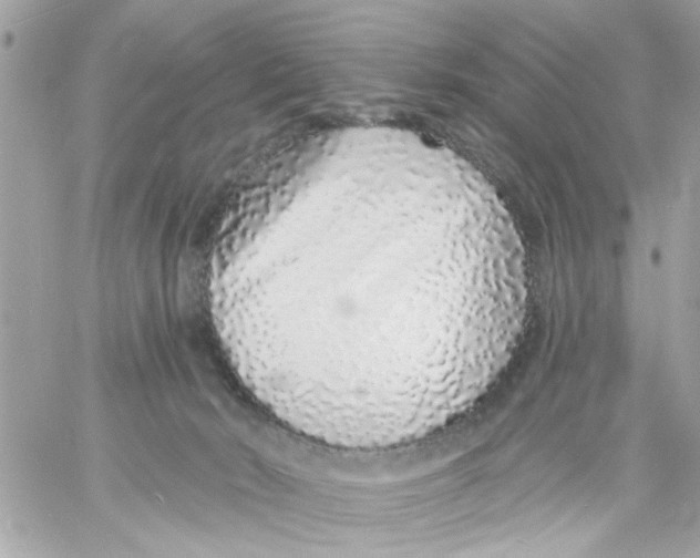 X0000057090030200510071923