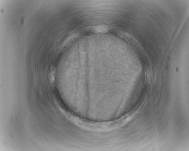 X0000057090032200510071923