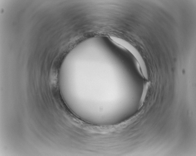 X0000057090033200510071922