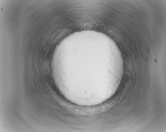 X0000057090034200510071922