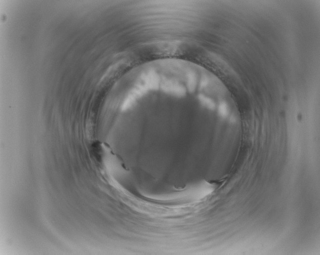 X0000057090035200510071922