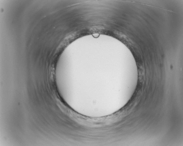 X0000057090038200510071922