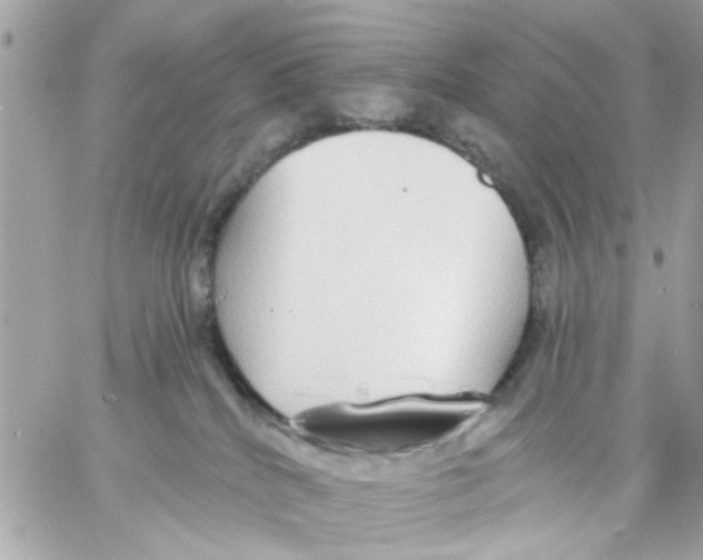 X0000057090040200510071922