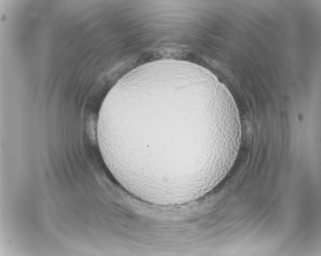 X0000057090042200510071922