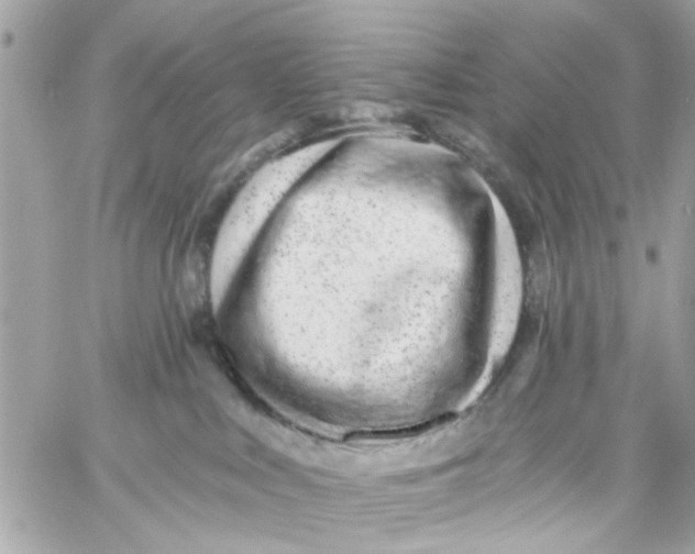 X0000057090043200510071922