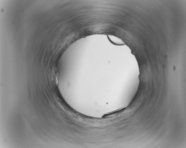 X0000057090044200510071922