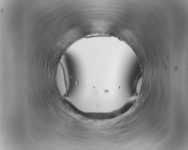 X0000057090045200510071922