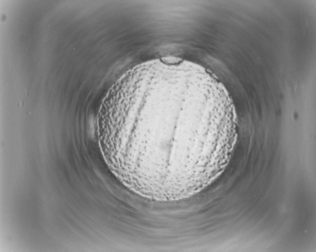 X0000057090046200510071922