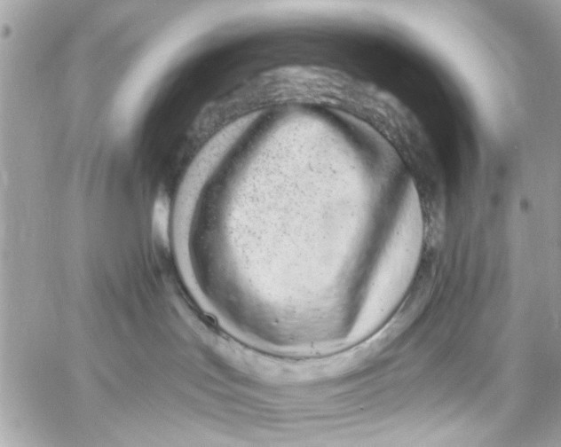 X0000057090047200510071922