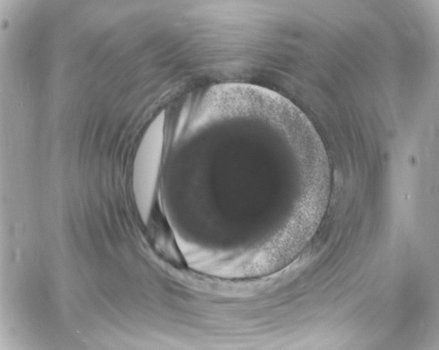 X0000057090048200510071922