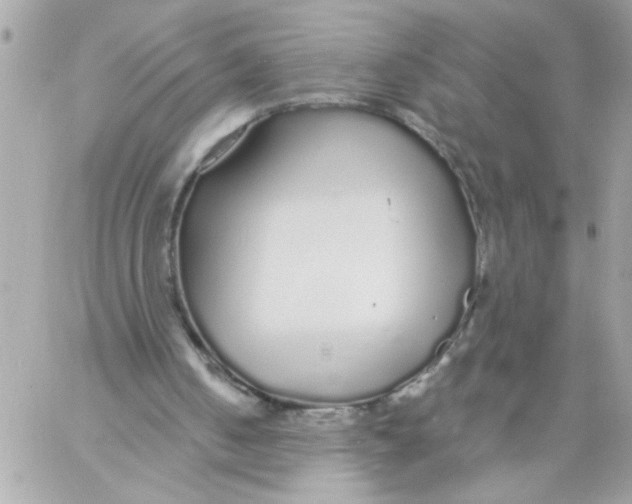 X0000057090050200510071921