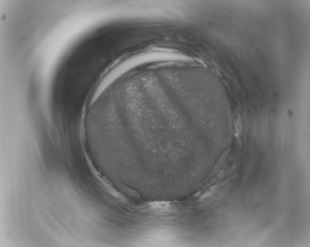 X0000057090052200510071921