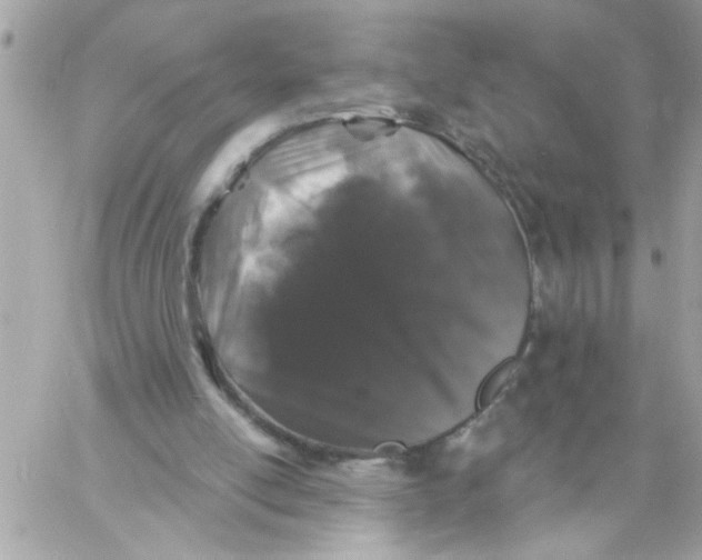 X0000057090054200510071922