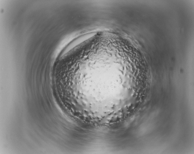 X0000057090055200510071922