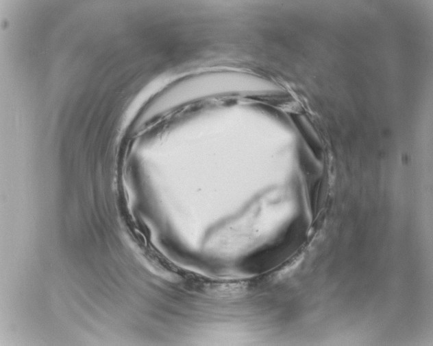 X0000057090056200510071922