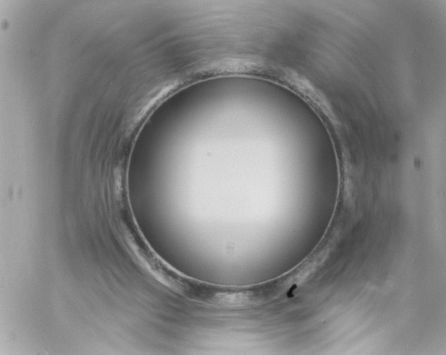 X0000057090057200510071922