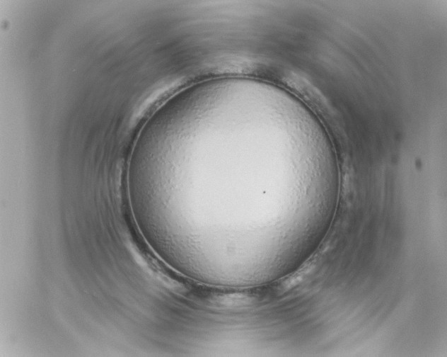 X0000057090058200510071922