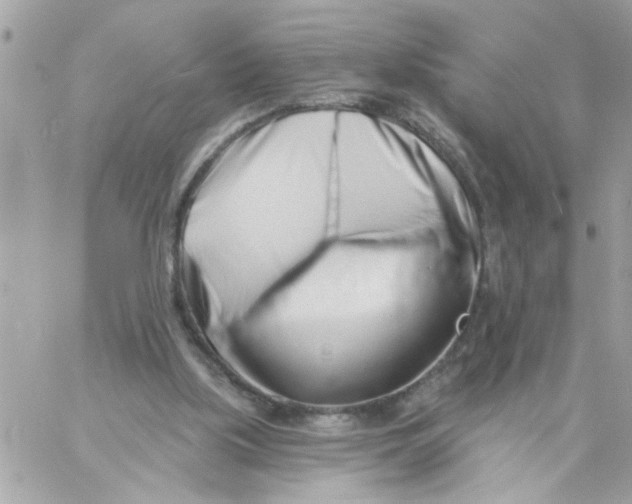 X0000057090059200510071922