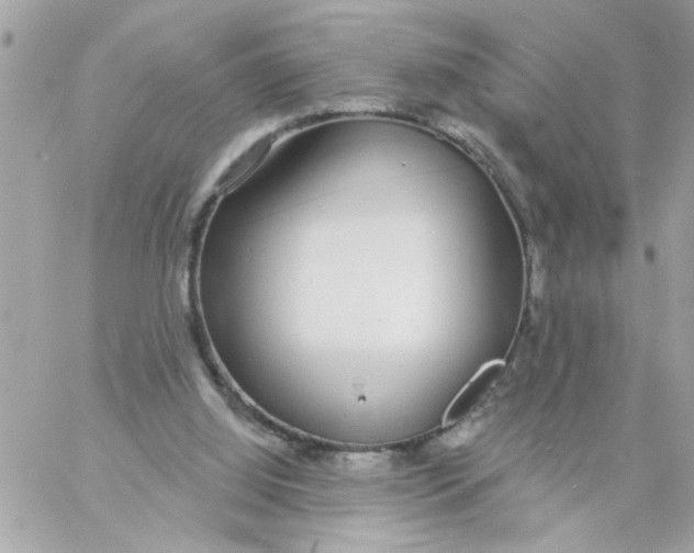 X0000057090060200510071922