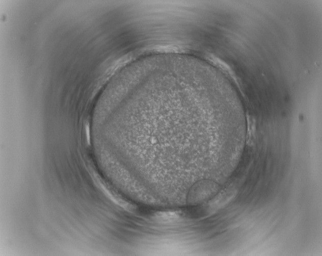 X0000057090061200510071922