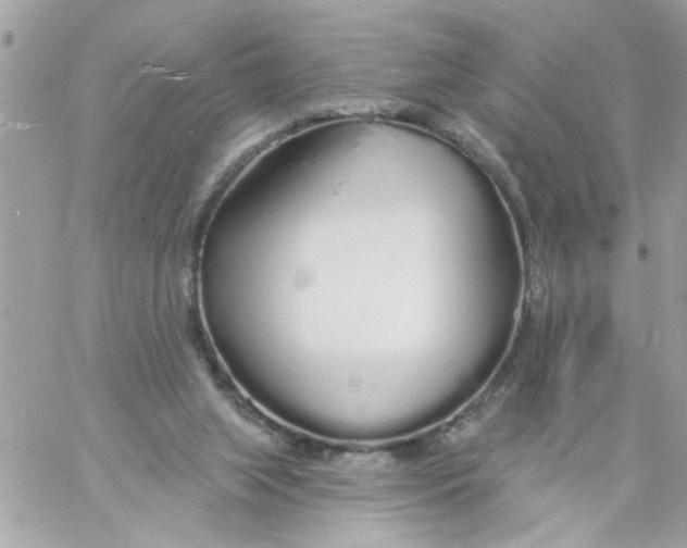 X0000057090063200510071922