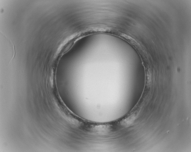 X0000057090064200510071922