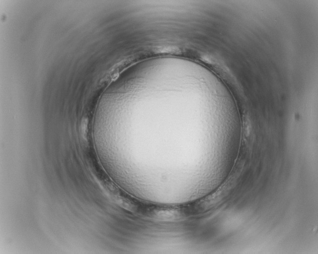 X0000057090066200510071922