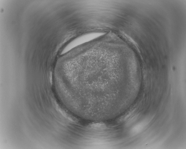 X0000057090067200510071922