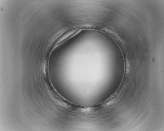 X0000057090068200510071922