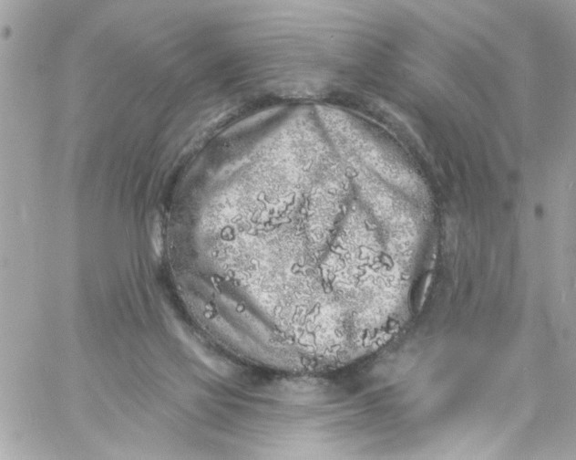 X0000057090069200510071922