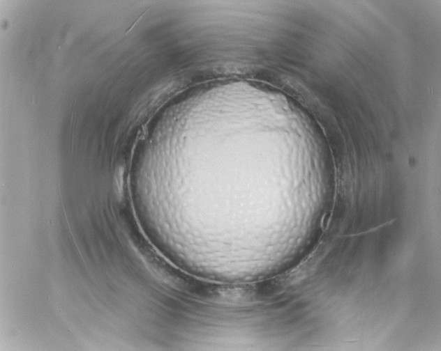 X0000057090070200510071922