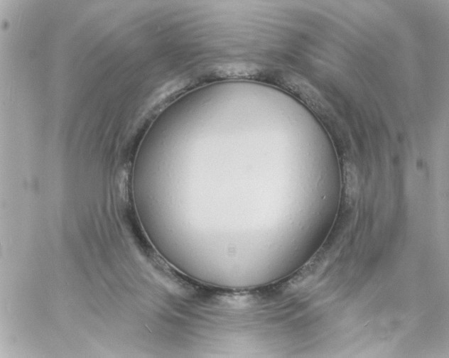 X0000057090071200510071922